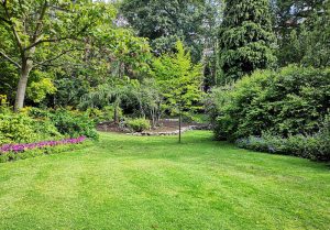 Optimiser l'expérience du jardin à Le Transloy